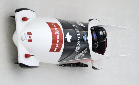 Bobsleigh World Cup. Stage 4. Two-woman race