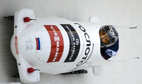 Bobsleigh World Cup. Stage 4. Two-woman race