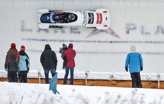 Bobsleigh World Cup. Stage 4. Two-woman race