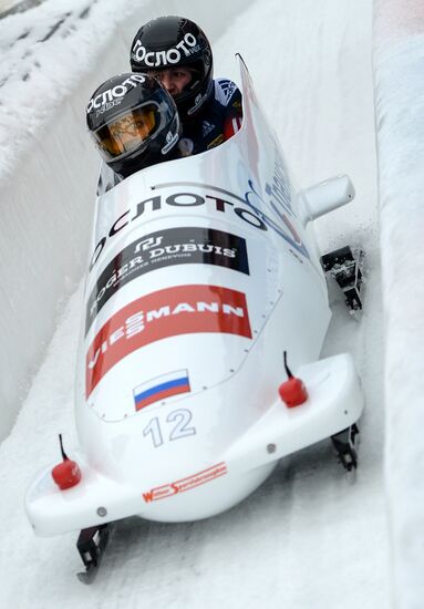 Bobsleigh World Cup. Stage 4. Two-woman race