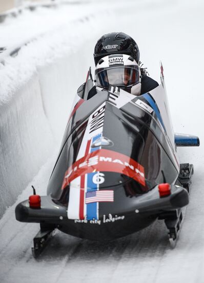 Bobsleigh World Cup. Stage 4. Two-woman race