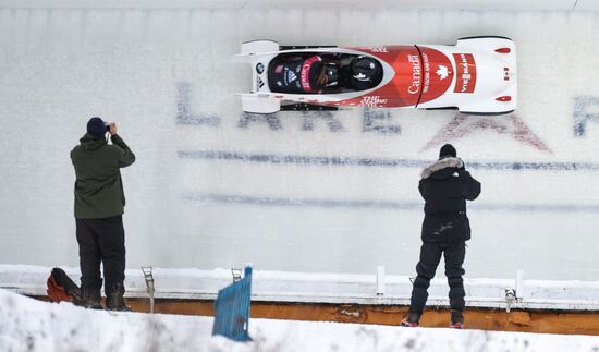 Bobsleigh World Cup. Stage 4. Two-woman race