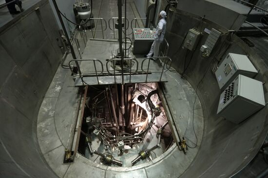 Petersburg Nuclear Physics Institute