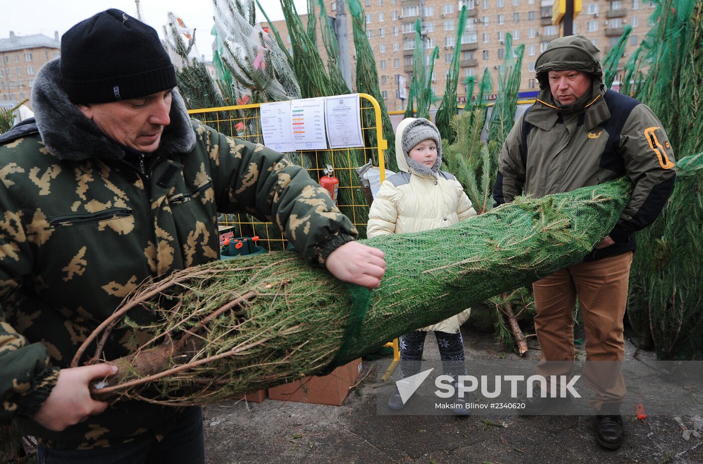 Christmas tree markets open in Moscow