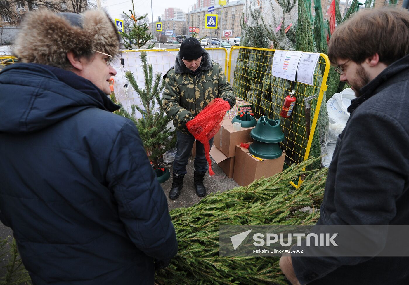 Christmas tree markets open in Moscow