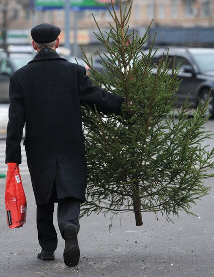 Christmas tree markets open in Moscow