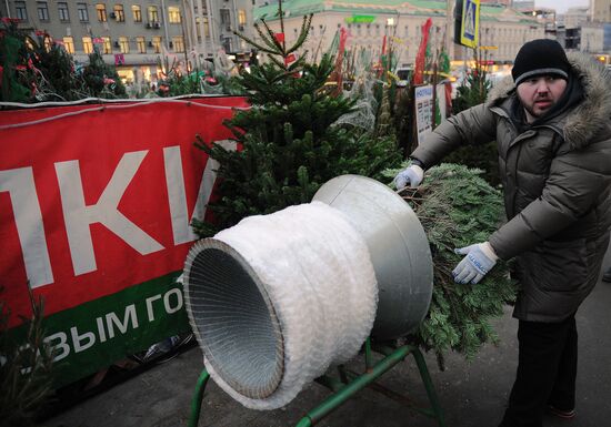 Christmas tree markets open in Moscow