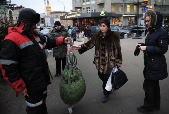 Christmas tree markets open in Moscow
