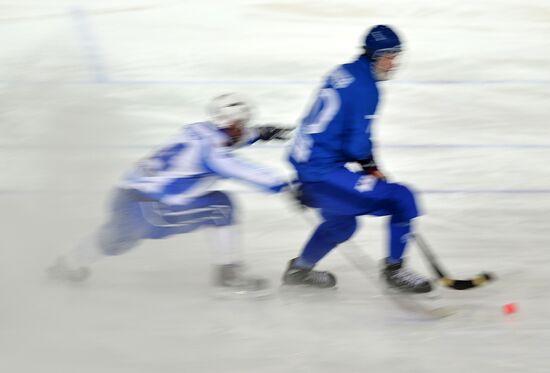 Russian Bandy Super Cup. Dynamo Moscow vs. Dynamo Kazan