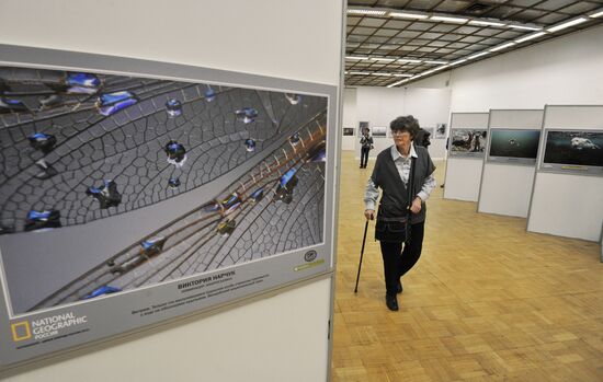 Wild Russia 2013 exhibition opening