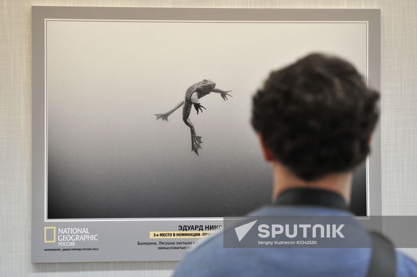 Wild Russia 2013 exhibition opening