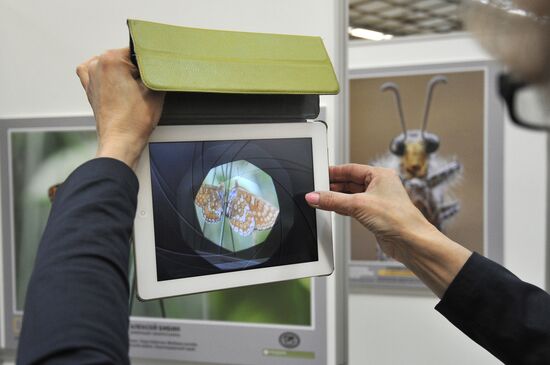 Wild Russia 2013 exhibition opening