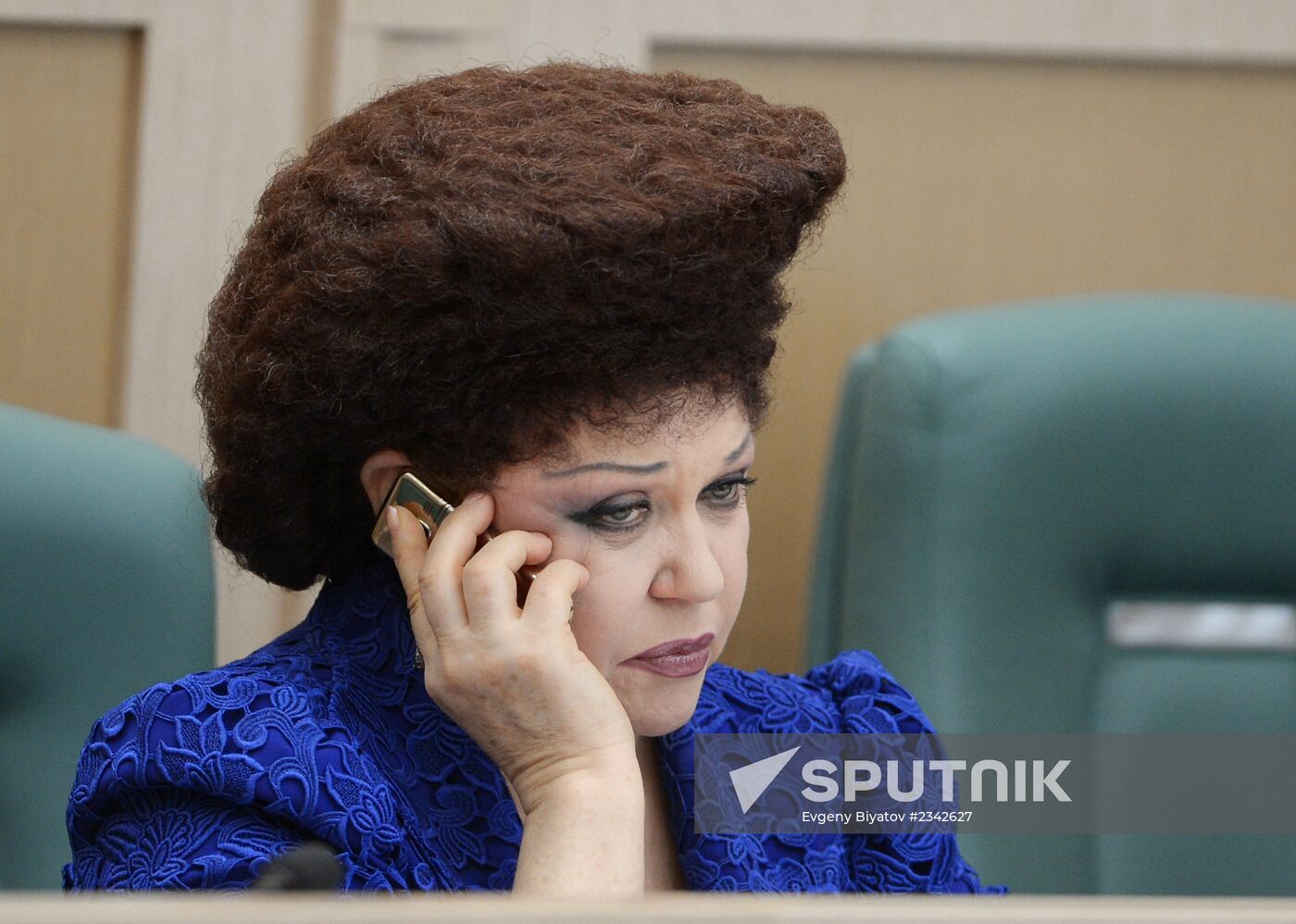 Federation Council meeting