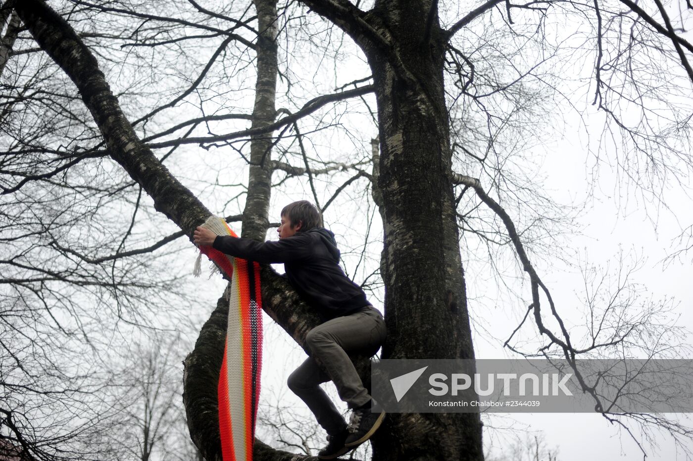 "Clothes for Trees!" campaign in Veliky Novgorod