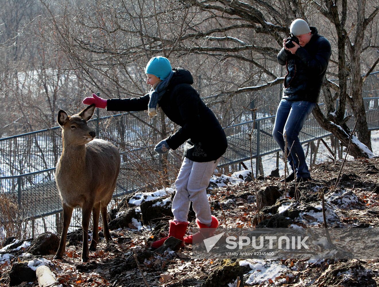 Primorye Safari Park and its inhabitants