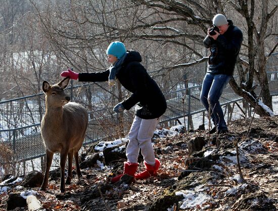 Primorye Safari Park and its inhabitants