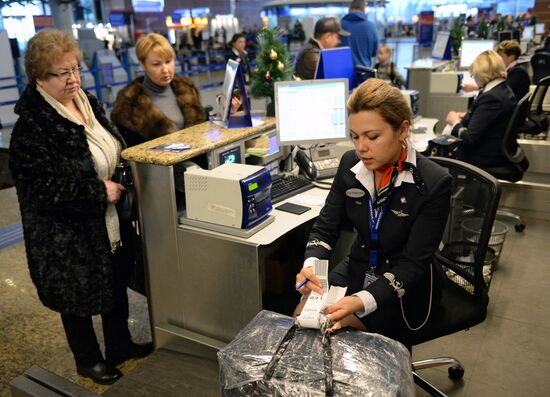 Checking passengers and luggage at Sheremetyevo airport