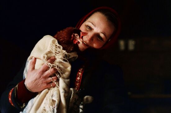 Holiday program "Vasilyev evening" at Vitoslavlitsy museum