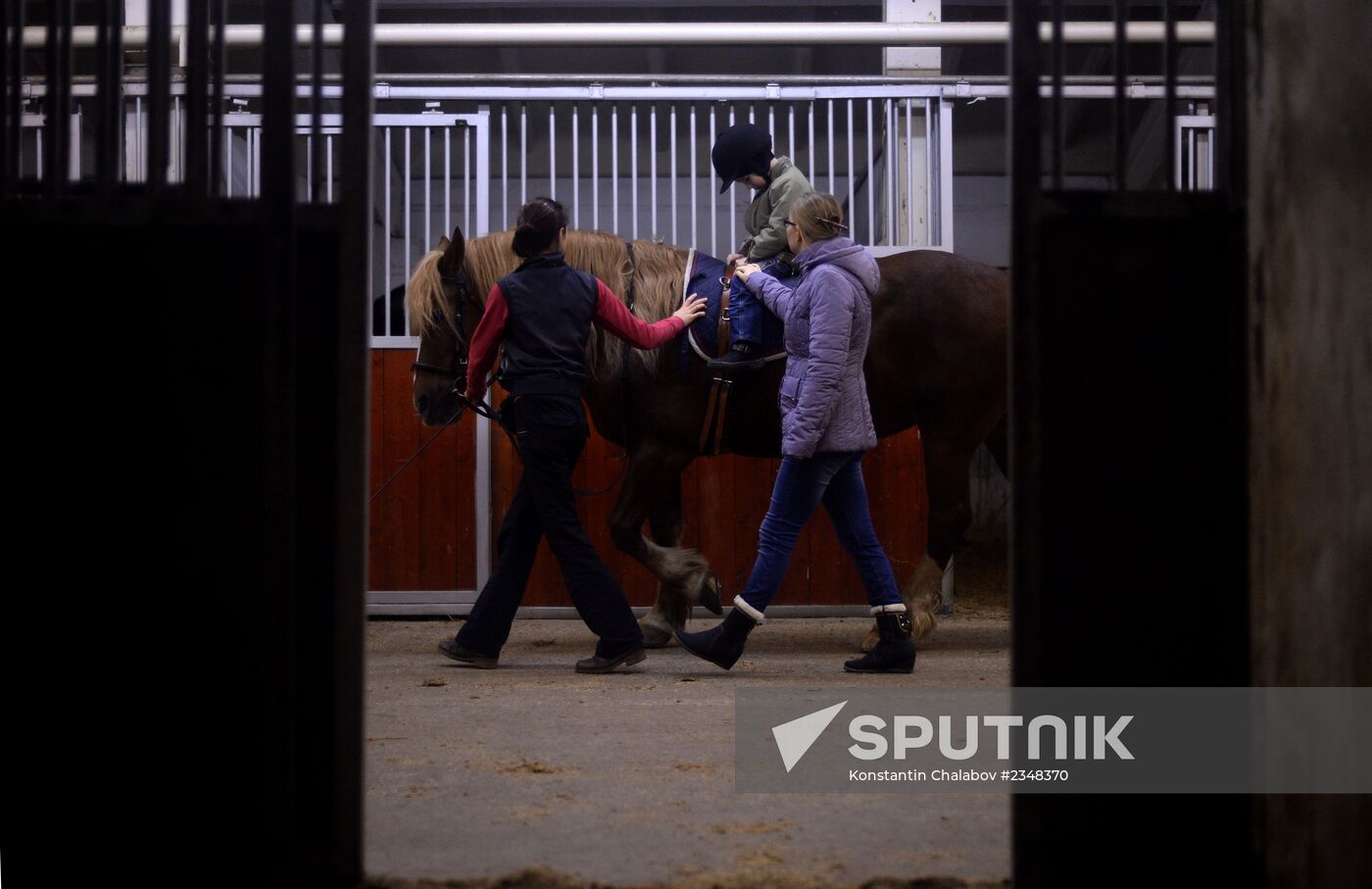 Hippotherapy for children with special needs