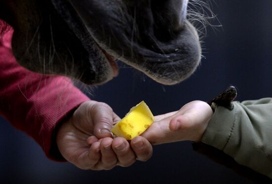 Hippotherapy for children with special needs