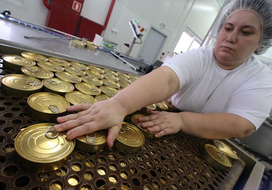 Production of canned sprats fish in Kaliningrad region