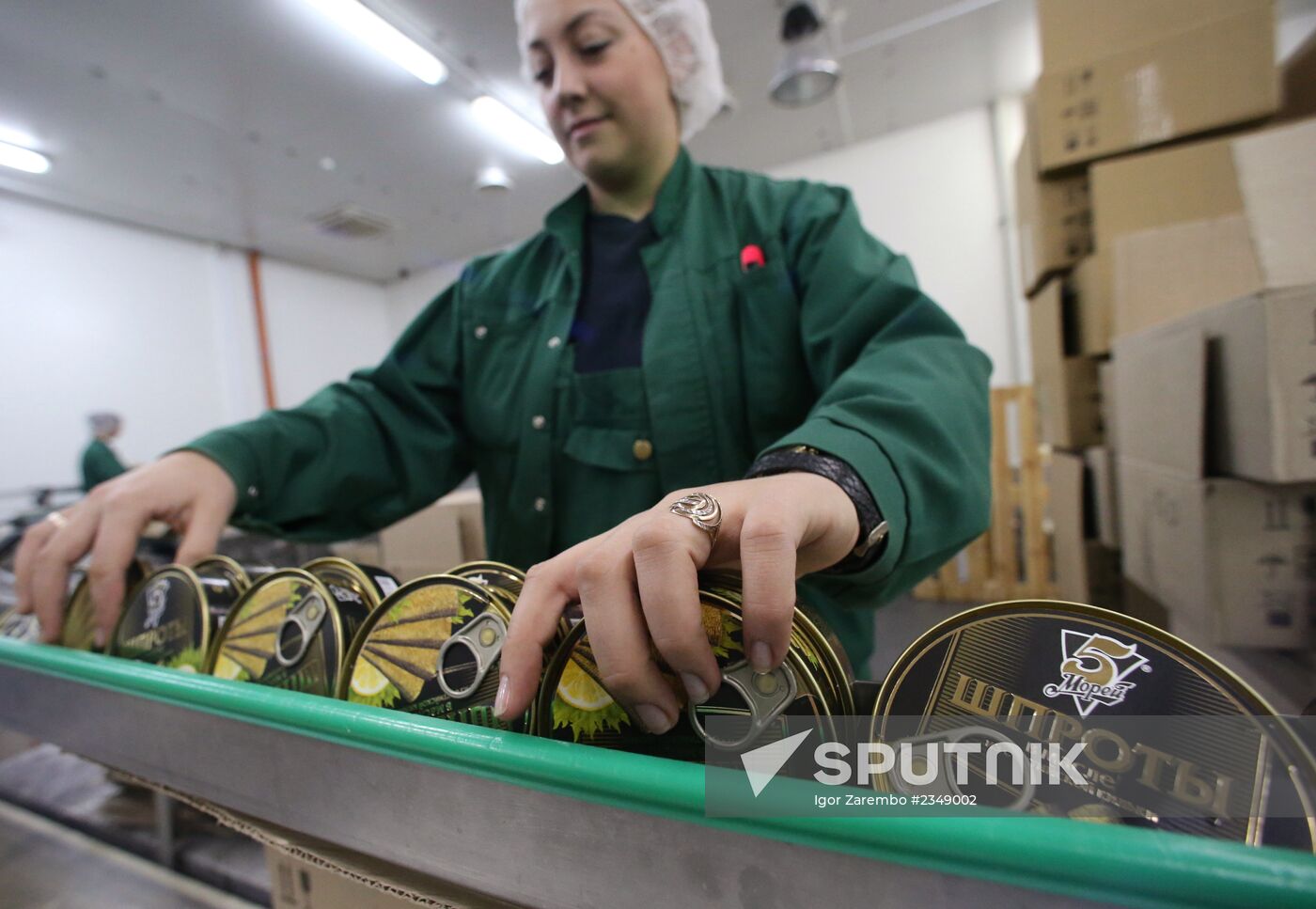 Production of canned sprats fish in Kaliningrad region