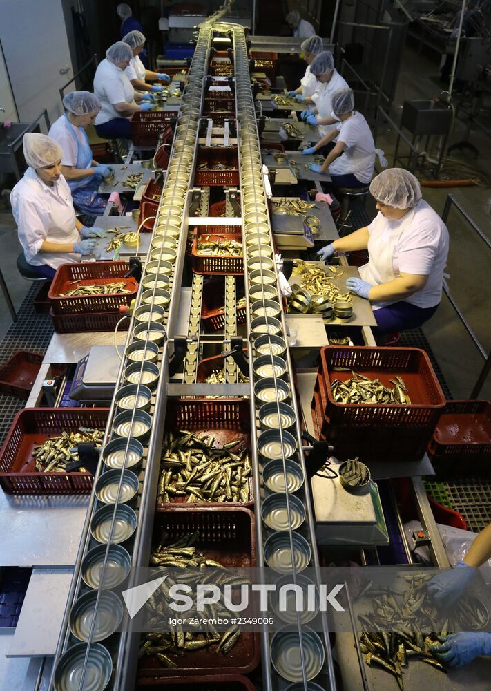 Production of canned sprats fish in Kaliningrad region