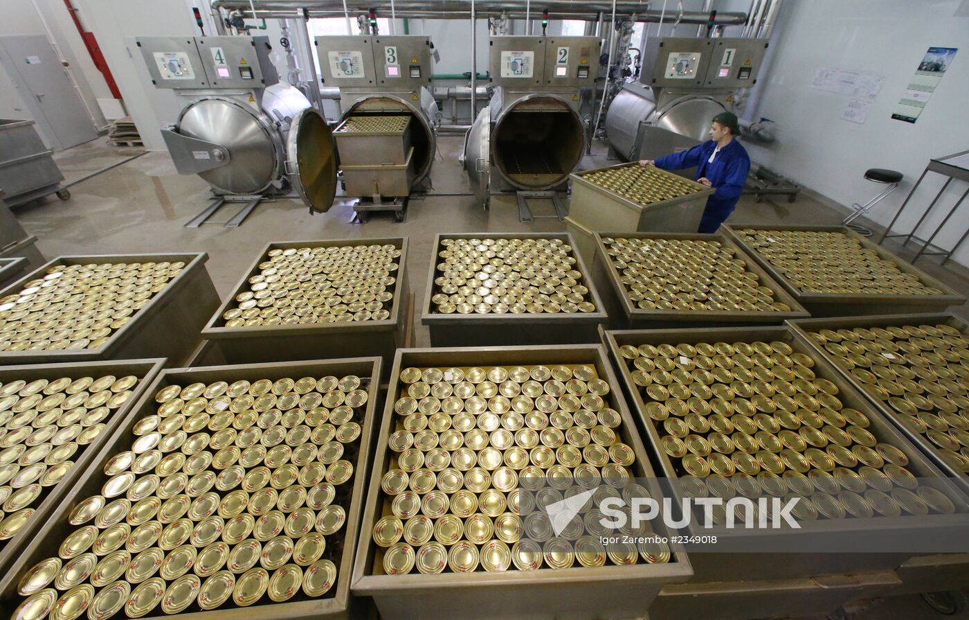 Production of canned sprats fish in Kaliningrad region