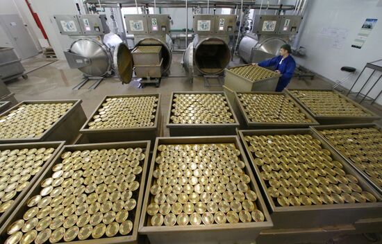 Production of canned sprats fish in Kaliningrad region