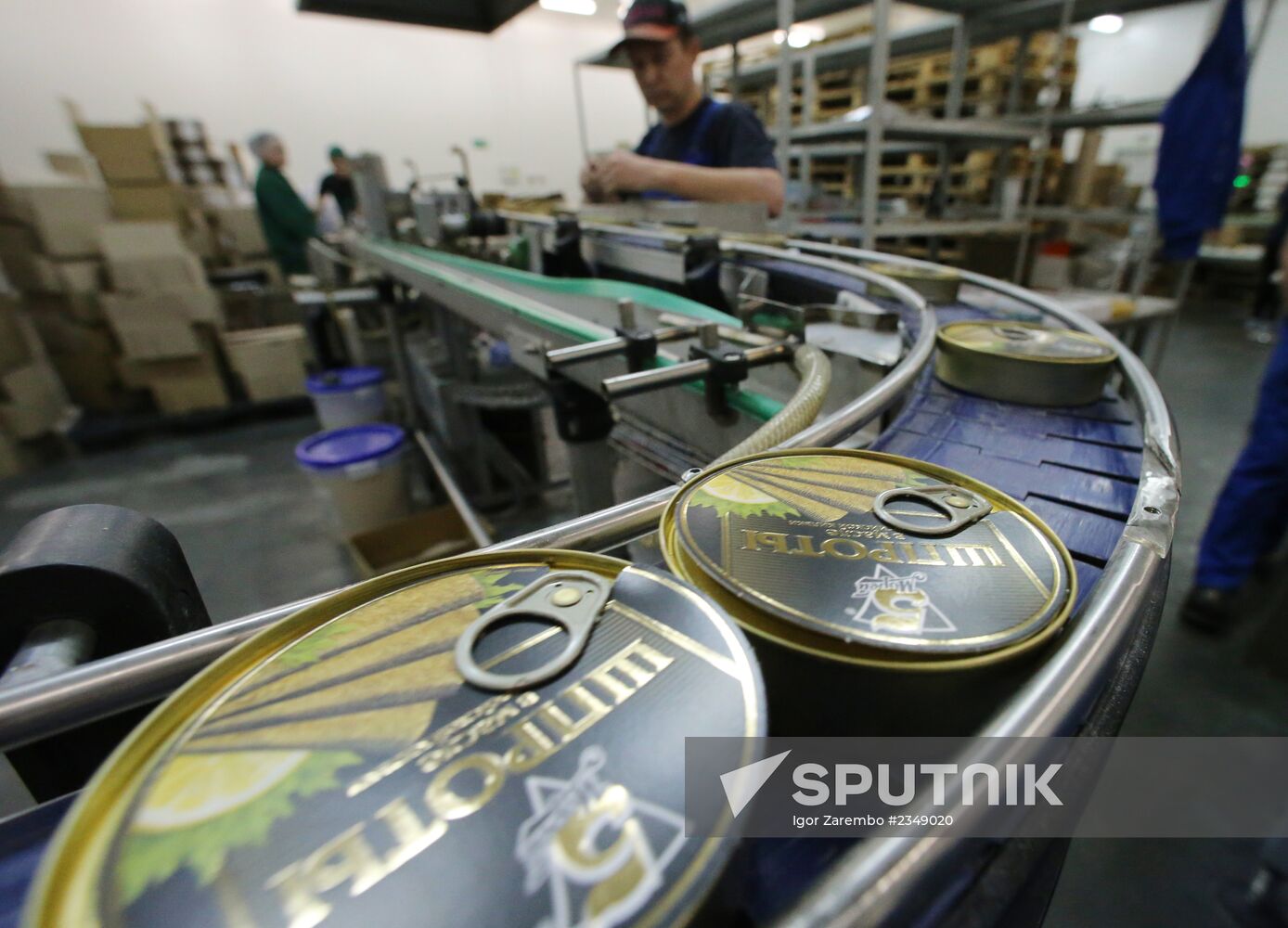 Production of canned sprats fish in Kaliningrad region