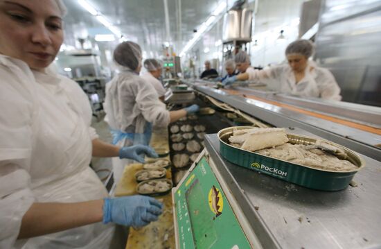 Production of canned sprats fish in Kaliningrad region