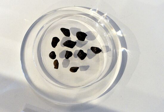 New items in meteorite collection of Moscow Planetarium