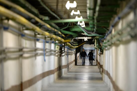 Colliders at Institute of Nuclear Physics in Novosibirsk