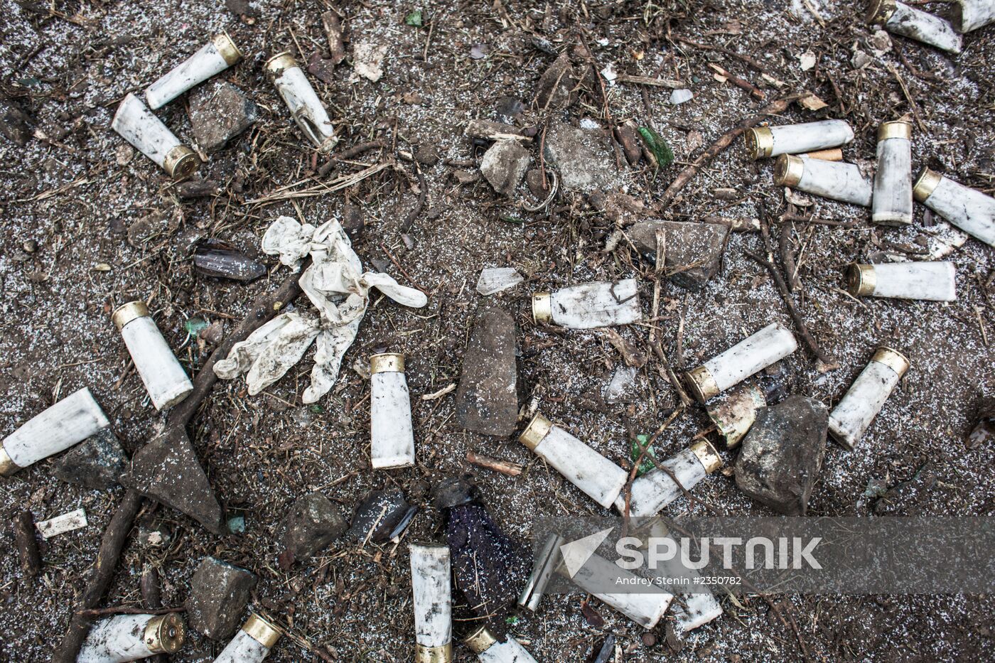 Situation in Kiev