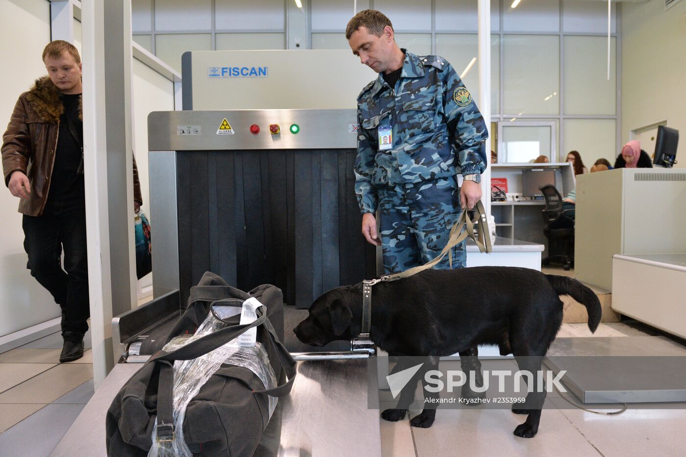 Customs at Tolmachyovo Airport