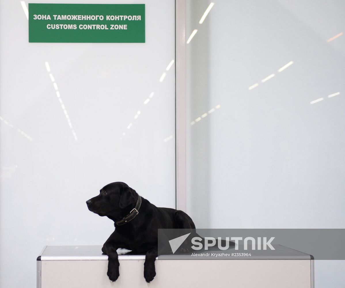 Customs at Tolmachyovo Airport