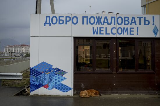 Sochi prepares to host 2014 Winter Olympics