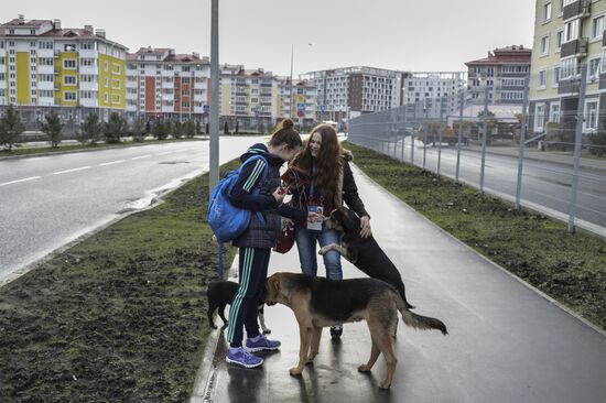 Sochi prepares to host 2014 Winter Olympics