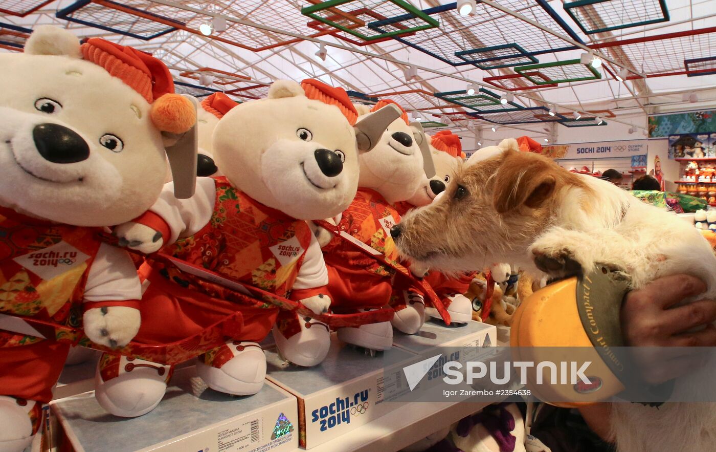 Olympic souvenirs sold in Sochi