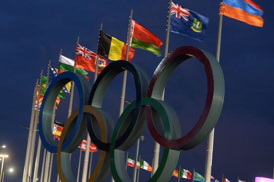 Sochi gets ready to welcome Winter Olympic Games