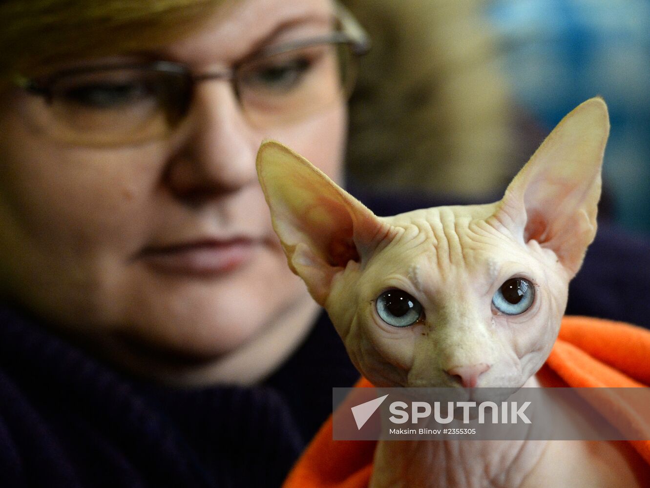 Cats exhibition at All-Russian Exhibition Center