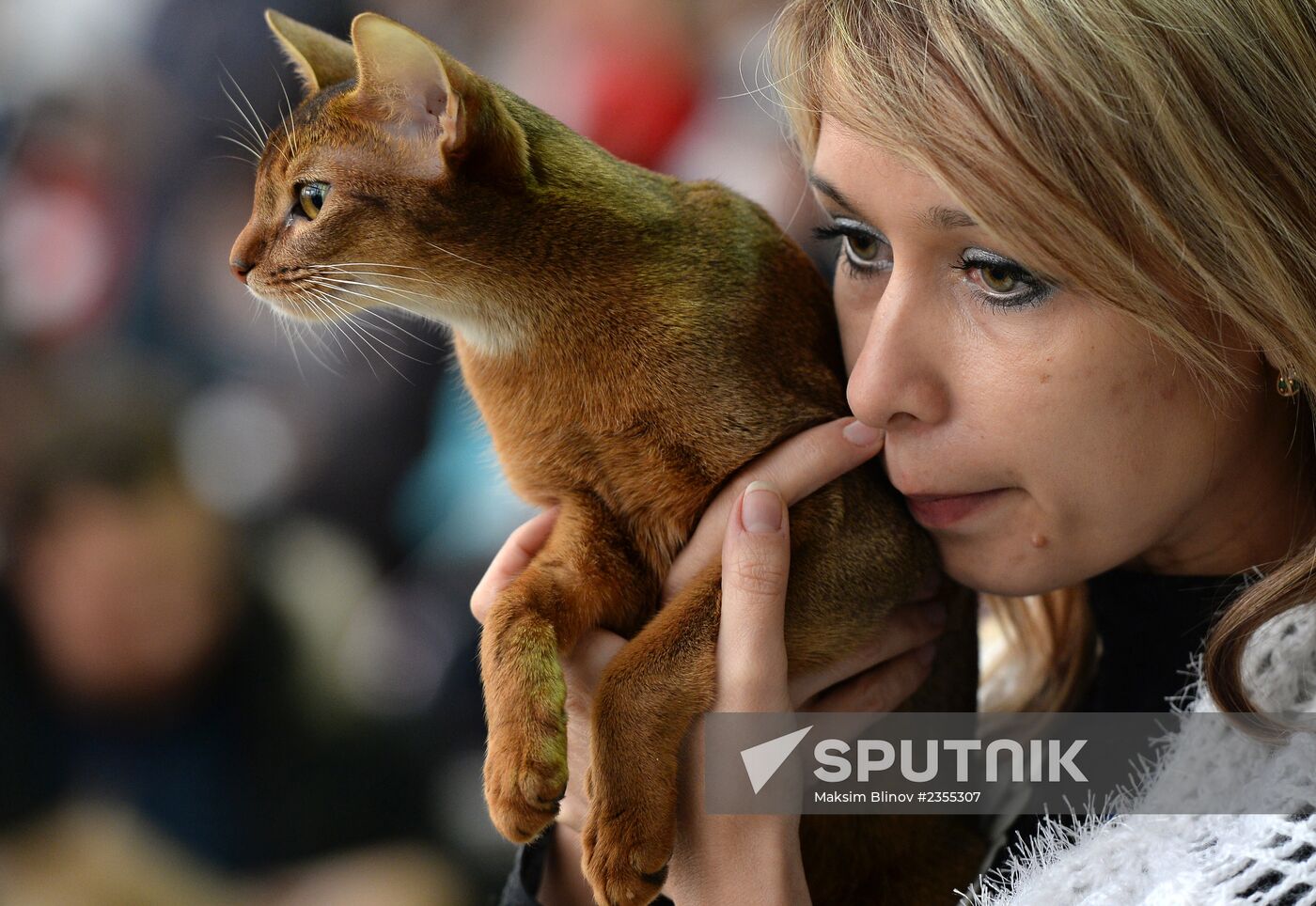 Cats exhibition at All-Russian Exhibition Center