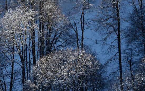 2014 Winter Olympics: 5 days to go