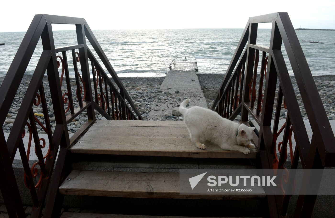 Walk along Sochi embankment