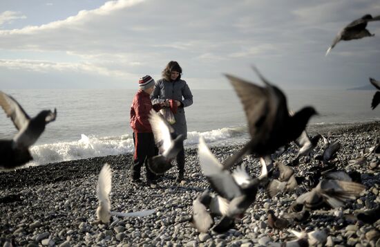 Walk along Sochi embankment