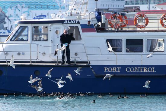 Three days left until Sochi Olympics