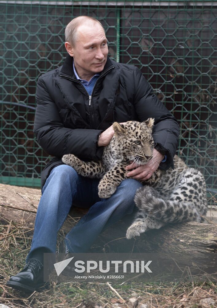 Vladimir Putin visits leopard breeding and rehabilitation center in Sochi