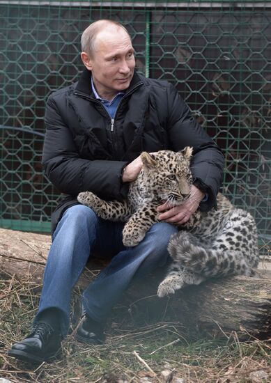 Vladimir Putin visits leopard breeding and rehabilitation center in Sochi