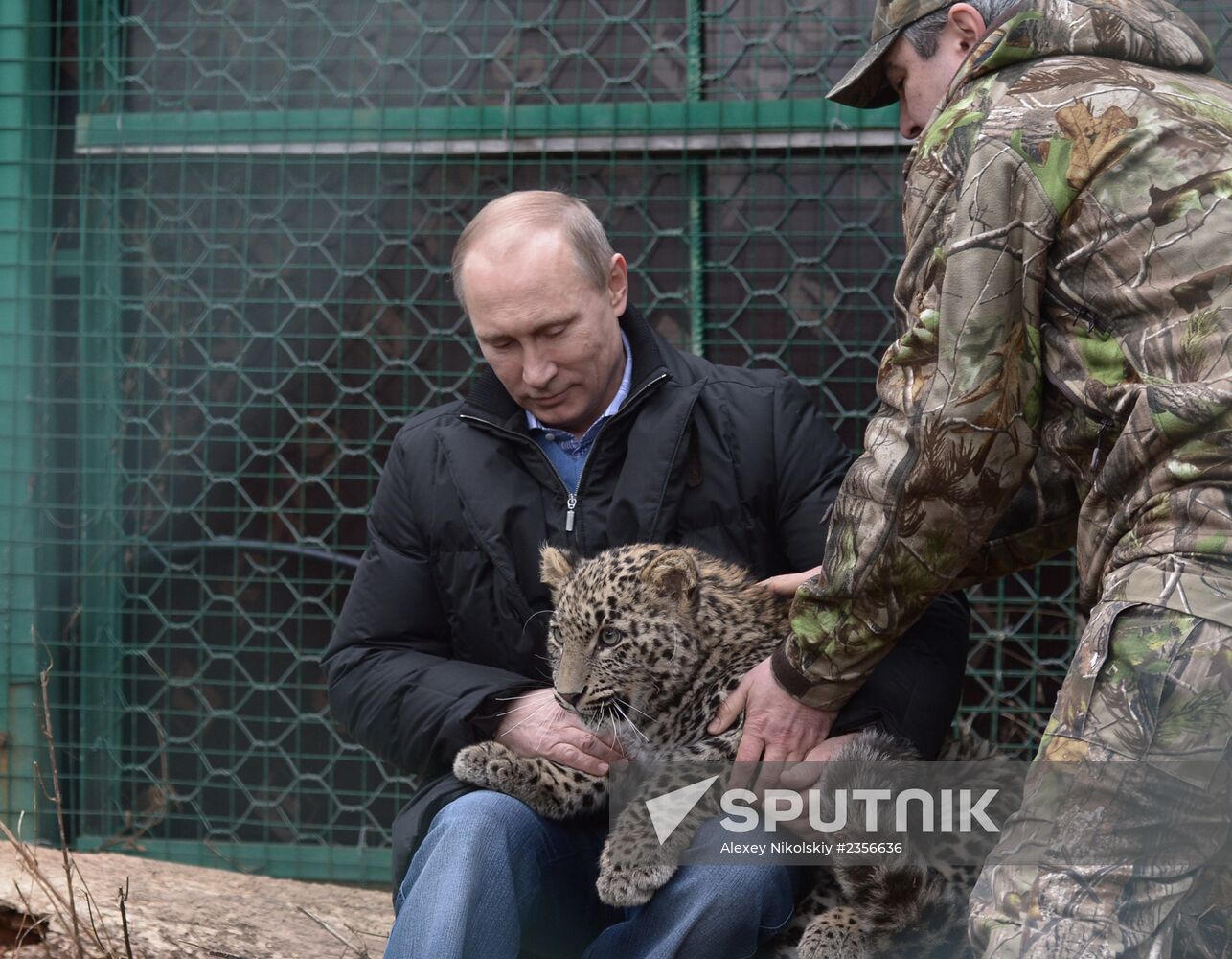 Vladimir Putin visits leopard breeding and rehabilitation center in Sochi