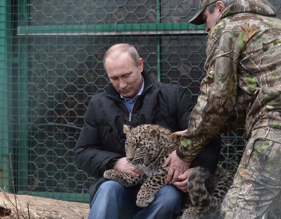 Vladimir Putin visits leopard breeding and rehabilitation center in Sochi